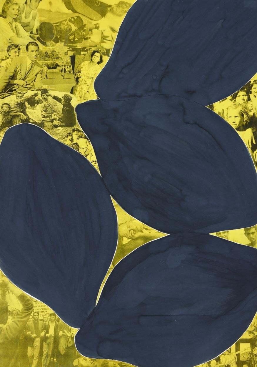Conosci la terra dove fioriscono i limoni?